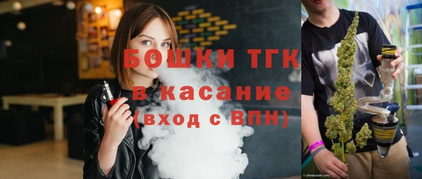 ПСИЛОЦИБИНОВЫЕ ГРИБЫ Козловка