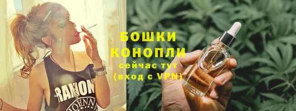 ПСИЛОЦИБИНОВЫЕ ГРИБЫ Козловка