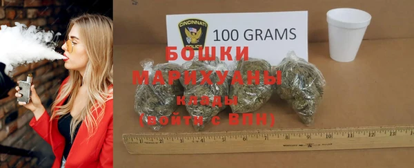 шишки Краснотурьинск