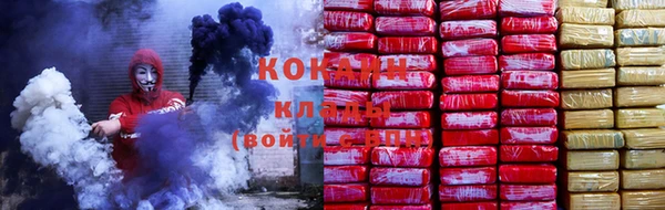 шишки Краснотурьинск