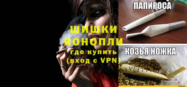 ПСИЛОЦИБИНОВЫЕ ГРИБЫ Козловка