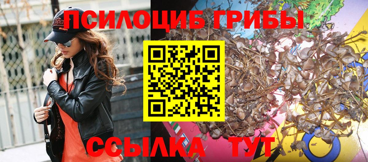 Майский  Псилоцибиновые грибы мицелий  Вход с VPN 