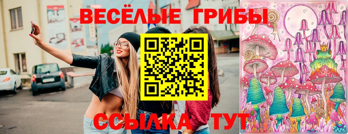 Галлюциногенные грибы мицелий Майский